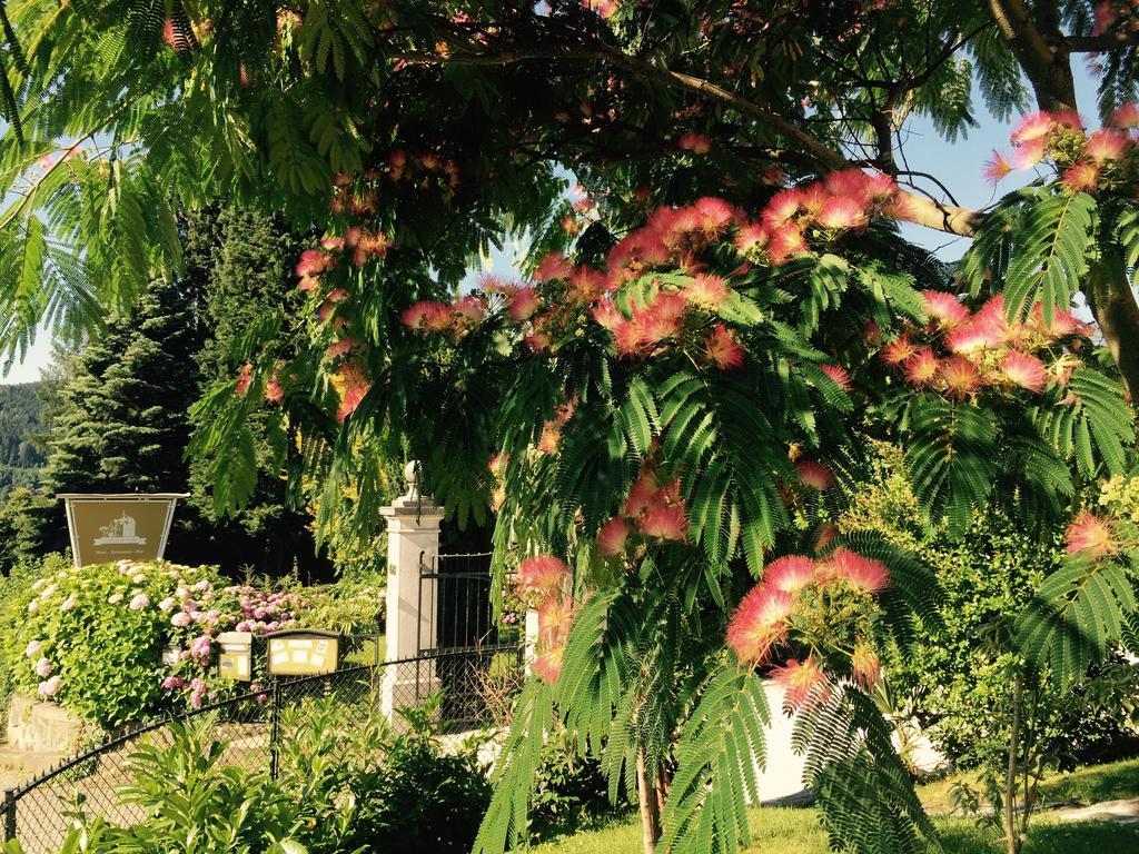 Haus Marianne Bed & Breakfast Millstatt Exterior foto