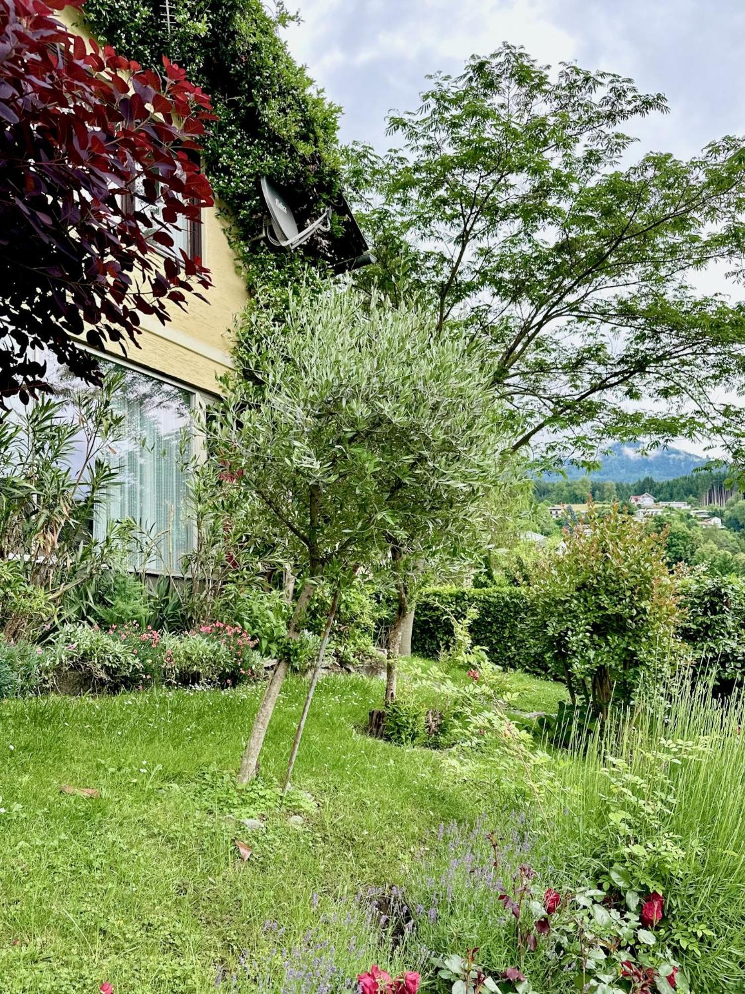 Haus Marianne Bed & Breakfast Millstatt Exterior foto
